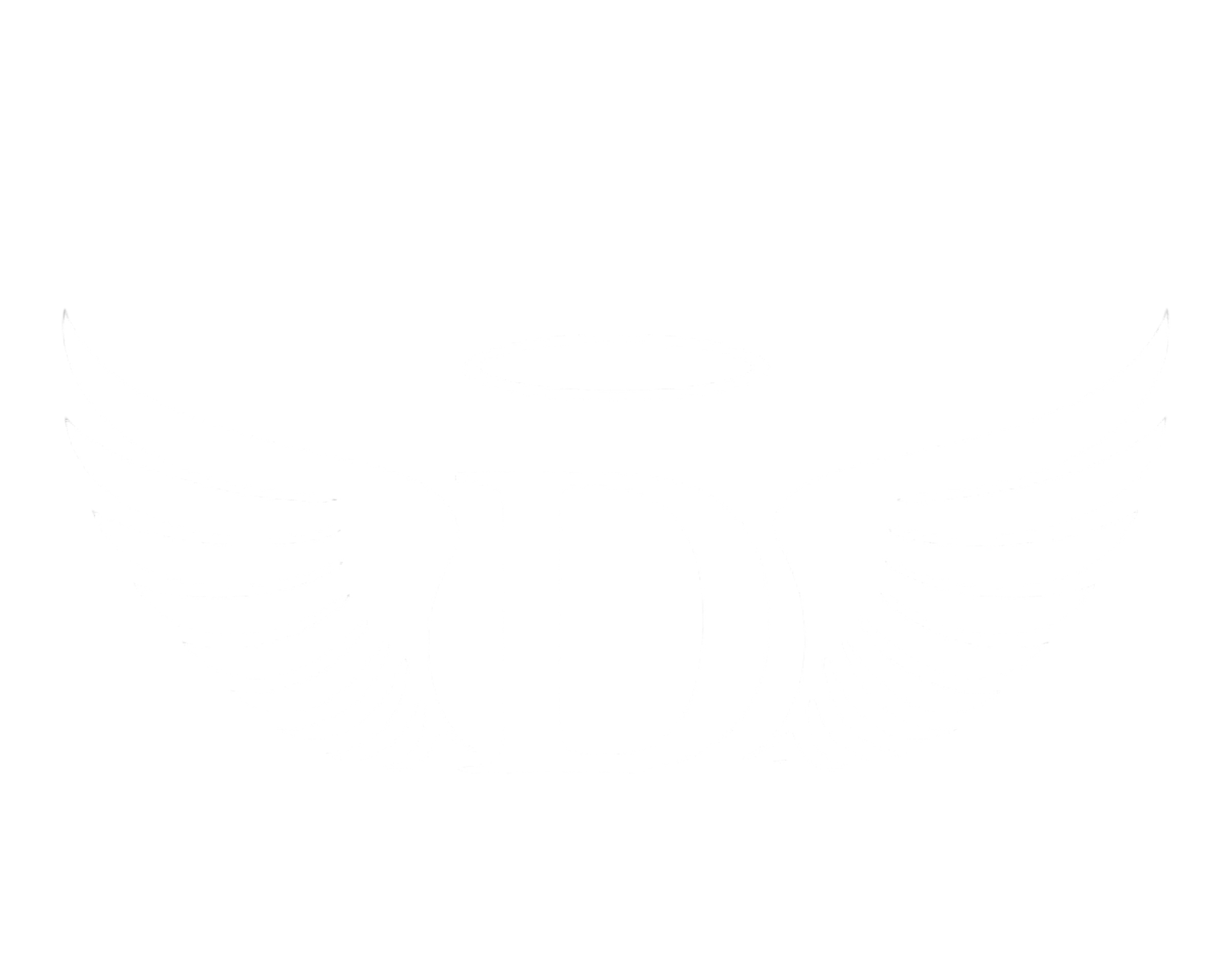 Draco's Angels